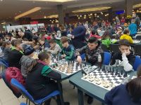 51007914_2301469453204646_4555764534916153344_n